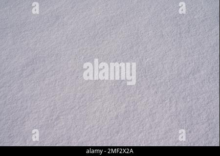 Makelloser, sauberer, weißer, frischer Pulverschnee in voller Sonneneinstrahlung Stockfoto