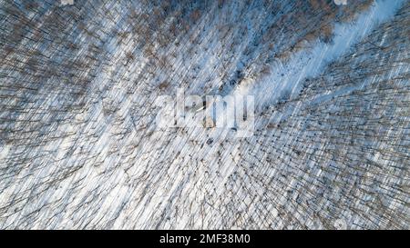 Blick aus der Vogelperspektive auf den hölzernen Aussichtsturm auf dem Gipfel des Velka Homola. Ansicht von oben nach unten. Männlicher Karpaty, Slowakei Stockfoto