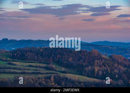 Herbstnachmittag, Bäume, Wälder, Wiesen, grasende Kühe und violetter Himmel im Hintergrund Stockfoto