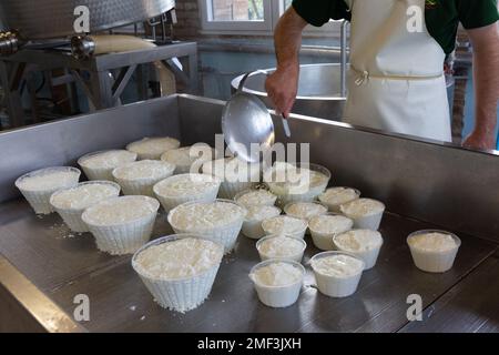 Herstellung von Ricotta-Käse auf einer Käserei in der Toskana, Italien. Stockfoto