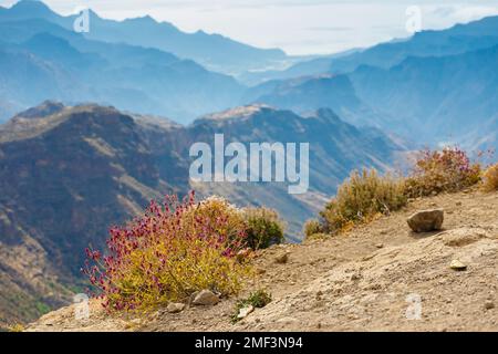 Roque Nublo - Vulkanmonolith. Es ist eines der berühmtesten Wahrzeichen von Gran Canaria, Spanien. Stockfoto