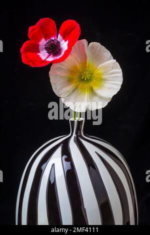 Zwei Mohnblumen In Gestreifter Vase Stockfoto