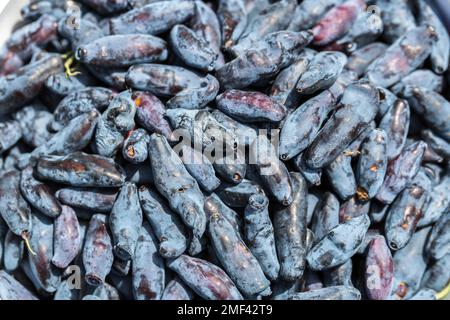 Frisches blaues Geißblatt, auch bekannt als Honigbeere, mit blauen Beeren und grünen Blättern Stockfoto