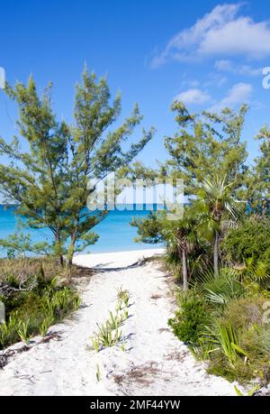 Der sandige Eingang zu einem leeren Strand auf der unbewohnten Half Moon Cay Insel (Bahamas). Stockfoto