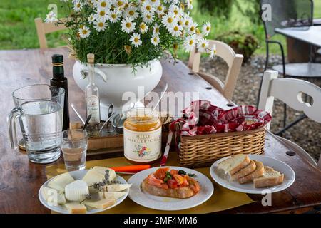 Probieren Sie eine Vielzahl von Ziegen- und Pecorino-Käse, kombiniert mit Honig, auf einer Käserei in der Toskana, Italien. Stockfoto