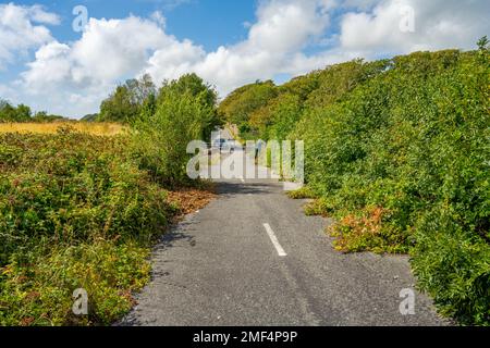 Alte überwucherte Straße, die zu einer Radstrecke zwischen Criccieth und Pwhelli umgebaut wurde Stockfoto