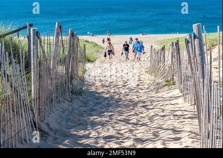 Race Point Beach an einem sonnigen Tag in Cape Cod. Cape Cod ist ein beliebtes Reiseziel in Massachusetts. Stockfoto