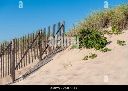 Race Point Beach an einem sonnigen Tag in Cape Cod. Cape Cod ist ein beliebtes Reiseziel in Massachusetts. Stockfoto