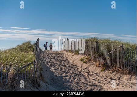 Race Point Beach an einem sonnigen Tag in Cape Cod. Cape Cod ist ein beliebtes Reiseziel in Massachusetts. Stockfoto