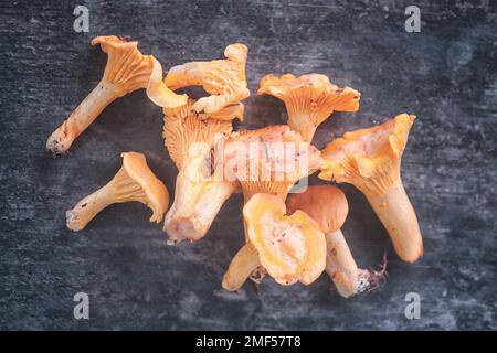 Essbare Pilze frisch gepflückt im Wald vor dem Hintergrund einer alten hölzernen Tischplatte. Stockfoto