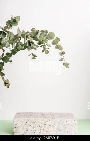Podium aus Naturstein, Modell für Parfüm oder Kosmetik, Eukalyptusblätter. Weißer und grüner Hintergrund. Stockfoto