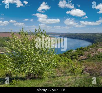 Fantastischer Blick auf den Frühling auf den Dnister River Canyon mit malerischen Felsen, Feldern und Blumen. Dieser Ort nannte Shyshkovi Gorby, Nahoriany, Czernivtsi regi Stockfoto