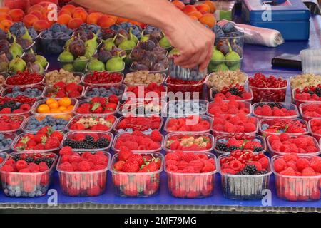 Eine Frau wählt eine Schale Blaubeeren aus einer köstlichen Auswahl an Früchten eines Markthändlers in der Altstadt von Dubrovnik. Stockfoto