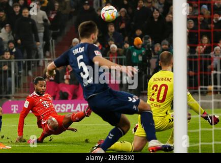 München, Deutschland. 24. Januar 2023. Serge Gnabry (L) von Bayern München schießt am 24. Januar 2023 beim deutschen Bundesliga-Fußballspiel in der ersten Liga zwischen Bayern München und dem Kölner FC in München. Kredit: Philippe Ruiz/Xinhua/Alamy Live News Stockfoto