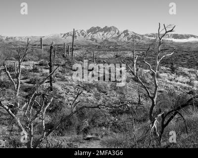 Der legendäre Four Peaks Mountain und die umliegende Bergkette nahe Phoenix Arizona sind mit seltenem Schnee übersät, der einer schnelllebigen Kaltfront folgt Stockfoto