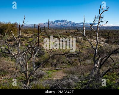 Der legendäre Four Peaks Mountain und die umliegende Bergkette nahe Phoenix Arizona sind mit seltenem Schnee übersät, der einer schnelllebigen Kaltfront folgt Stockfoto