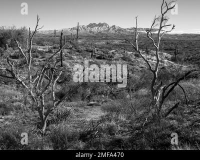 Der legendäre Four Peaks Mountain und die umliegende Bergkette nahe Phoenix Arizona sind mit seltenem Schnee übersät, der einer schnelllebigen Kaltfront folgt Stockfoto