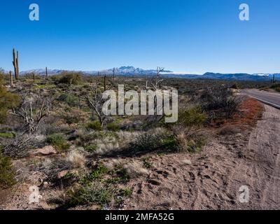 Der legendäre Four Peaks Mountain und die umliegende Bergkette nahe Phoenix Arizona sind mit seltenem Schnee übersät, der einer schnelllebigen Kaltfront folgt Stockfoto