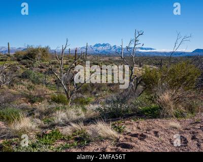 Der legendäre Four Peaks Mountain und die umliegende Bergkette nahe Phoenix Arizona sind mit seltenem Schnee übersät, der einer schnelllebigen Kaltfront folgt Stockfoto