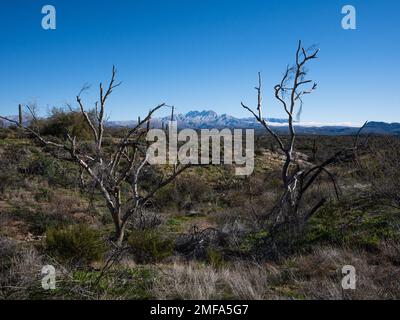 Der legendäre Four Peaks Mountain und die umliegende Bergkette nahe Phoenix Arizona sind mit seltenem Schnee übersät, der einer schnelllebigen Kaltfront folgt Stockfoto