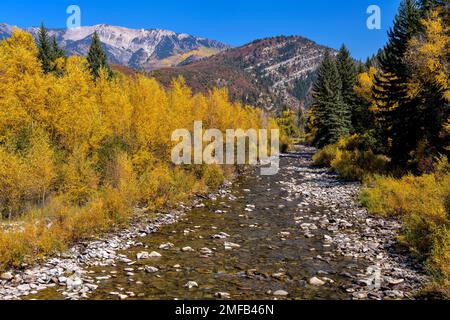 Herbstberg Creek - farbenfroher Anthracite Creek am Kebler Pass, in der Nähe von Crested Butte, Colorado, USA. Stockfoto