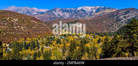 Herbsttal - Panoramablick auf ein farbenfrohes Tal mit hohen Elk Mountains im Hintergrund, wie sie an der Kebler Pass Road, CO, USA, zu sehen sind. Stockfoto