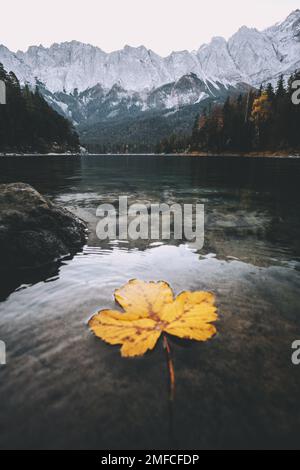 Herbstblätter am Ufer des Eibsees, Zugspitze, Deutschland. Herbsthintergrund. Stockfoto