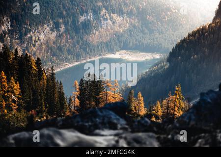 Wunderschöne Herbstlandschaft mit Bergsee und Nadelwald. Bei Sonnenaufgang. Österreich, Tirol. Stockfoto