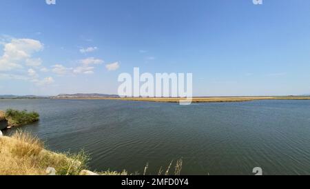 Delta Evros Nationalpark, Evros Thraki Griechenland Stockfoto