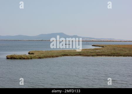 Delta Evros Nationalpark, Evros Thraki Griechenland Stockfoto