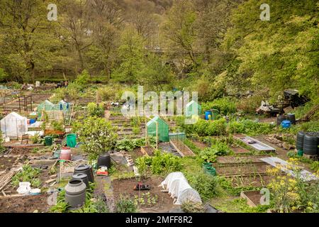 27. April 2022: Hebden Bridge, UK - Zuteilungen an der Hebden Bridge an einem Frühlingstag, mit einer Auswahl an Kulturen. Stockfoto