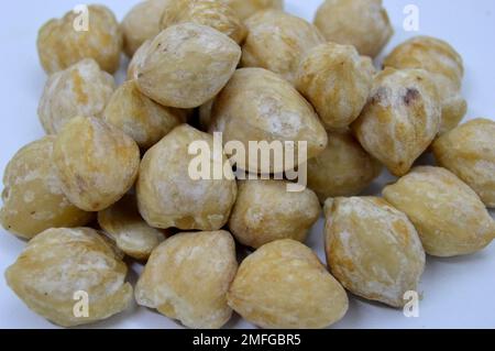 Kemiri Auch Bekannt Als Candleberry, Indian Walnut, Kemiri, Lackbaum, Nuez De La India, Buah Keras, Godou, Kukui Nut Tree Stockfoto