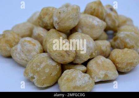 Kemiri Auch Bekannt Als Candleberry, Indian Walnut, Kemiri, Lackbaum, Nuez De La India, Buah Keras, Godou, Kukui Nut Tree Stockfoto