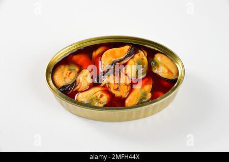 Aufnahmen aus einem hohen Winkel mit köstlichen Muscheln auf weißem Hintergrund Stockfoto