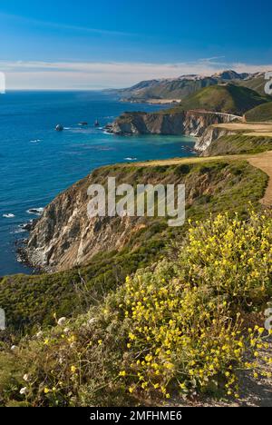 Blick von Hurricane Point, Bixby Creek Bridge am Highway One in der Ferne, Holzkohle, Big Sur, Kalifornien, USA Stockfoto