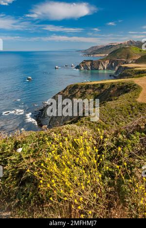 Blick von Hurricane Point, Bixby Creek Bridge am Highway One in der Ferne, Holzkohle, Big Sur, Kalifornien, USA Stockfoto