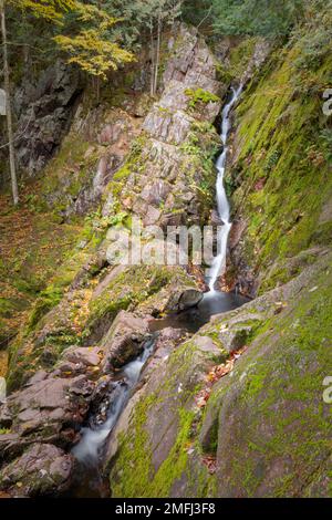 Dieses Bild zeigt Morgan Falls im Nordwesten von Wisconsin. Dies ist Teil des Nicolet National Forest und ein sehr beliebtes Reiseziel. Stockfoto