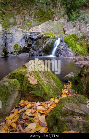 Dieses Bild zeigt Morgan Falls im Nordwesten von Wisconsin. Dies ist Teil des Nicolet National Forest und ein sehr beliebtes Reiseziel. Stockfoto