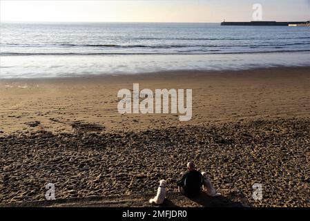 Das Bild zeigt einen Mann mit zwei Hunden, der in Coney, Sandy Beach, Porthcawl, South Wales an einer Wand saß. Er schaut mit der Flut auf das Meer hinaus. Stockfoto