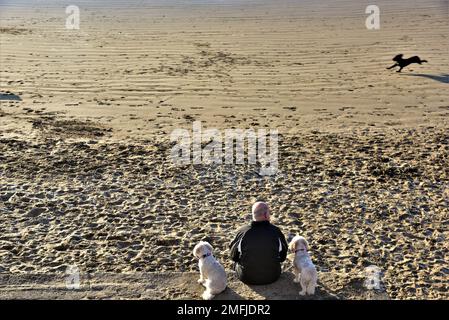 Das Bild zeigt einen Mann mit zwei Hunden, der in Coney, Sandy Beach, Porthcawl, South Wales an einer Wand saß. Er schaut mit der Flut auf das Meer hinaus. Stockfoto