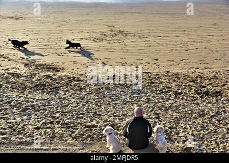 Das Bild zeigt einen Mann mit zwei Hunden, der in Coney, Sandy Beach, Porthcawl, South Wales an einer Wand saß. Er schaut mit der Flut auf das Meer hinaus. Stockfoto