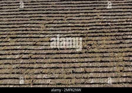 Perspektivische Dachstruktur aus Holz – Alte Dachstruktur aus Holz. Stockfoto