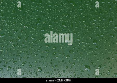 Nasse Holzplanken auf einer Bank, Hintergrund mit Holztextur mit Wassertropfen vom Regen, Herbststimmung. Stockfoto