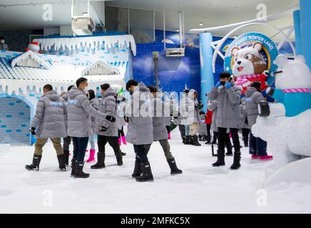 Thailand. 25. Januar 2023. Touristen sahen den Schnee, die Kälte unter -10 Grad Celsius und simulierten Schnee. Im „Snow Buddy Winter Land“ im Zoo von Chiang Mai werden mit einer Schneerutsche, dem Eskimo-Haus und schneebedeckten Kiefern dekoriert, um eine Schneestadt zu erschaffen. Kredit: SOPA Images Limited/Alamy Live News Stockfoto