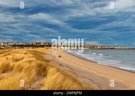 Lossiemouth Moray Scotland East Beach die Stadt mit goldenen Seegräsern und einem Sandstrand Stockfoto