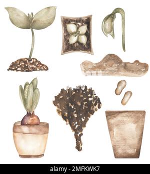 Aquarell handgezeichneter Garten Illustration Set, Erbsensamen, Erde, Setzbecher, Sprossen mit Erde, Elemente für Sammelalben Stockfoto