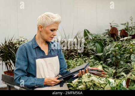 Junge Frau, die an einem Laptop arbeitet. Hübsches Weibchen mit Blume im Topf Stockfoto