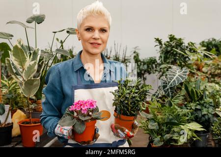 Eine Frau, die eine saftige Pflanze hält. Eine Frau in einem Gewächshaus hält einen Topf Stockfoto