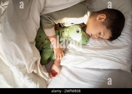 Fröhlicher süßer, müder Junge liegt auf einem weißen Komfortbett mit geschlossenen Augen, umarmt Spielzeugdinosaurier, schläft im Schlafzimmer Stockfoto