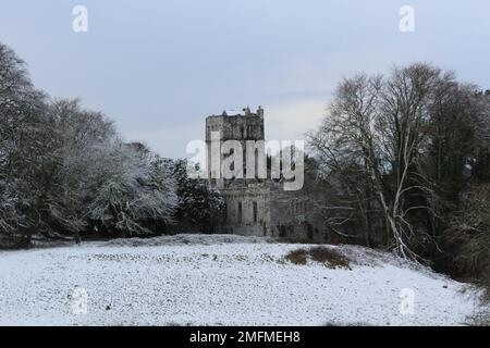 Muckross Abbey im Winter nach Schneefall. Schneebedeckte Muckross Abbey in der Abenddämmerung im Winter. Wintertapeten oder Bildschirmschoner im Kerry-Nationalpark Stockfoto